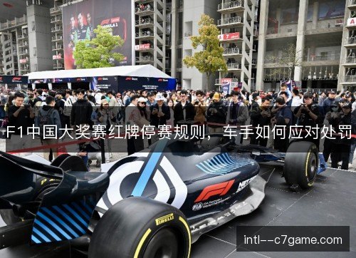 F1中国大奖赛红牌停赛规则，车手如何应对处罚