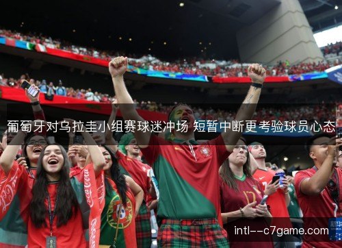 葡萄牙对乌拉圭小组赛球迷冲场 短暂中断更考验球员心态
